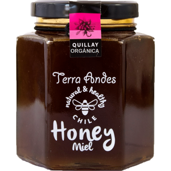 MIEL QUILLAY 400GR