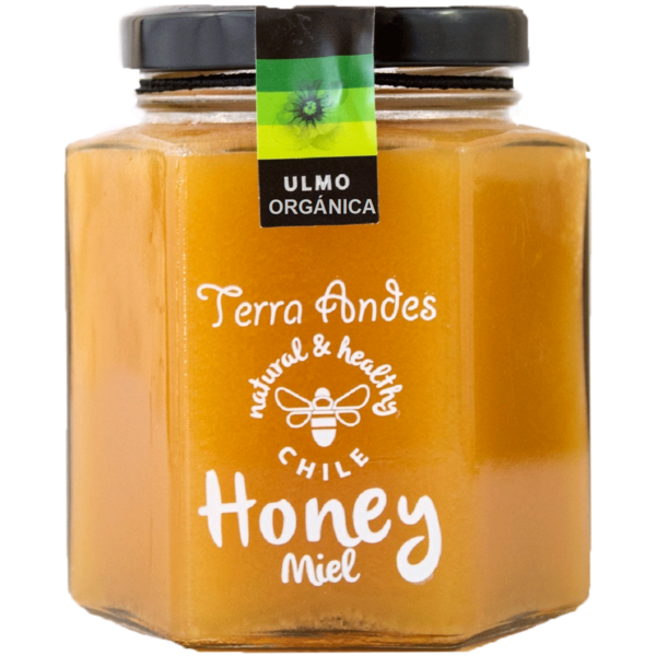 MIEL ULMO 400GR